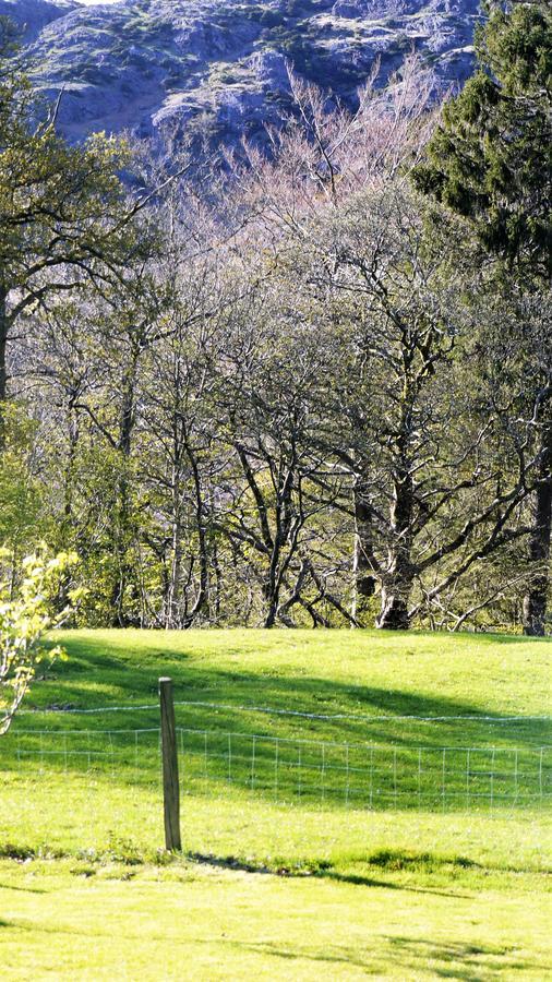 Shepherds Bridge B&B Coniston Kültér fotó